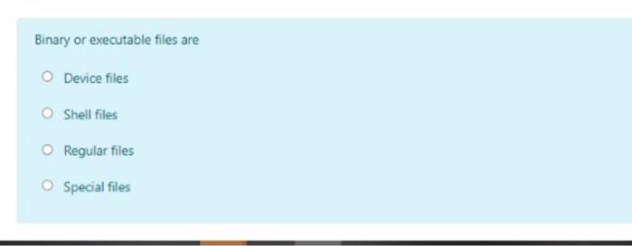 Solved Binary or executable files are Device files Shell | Chegg.com