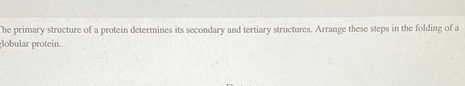 Solved he primary structure of a protein determines its | Chegg.com