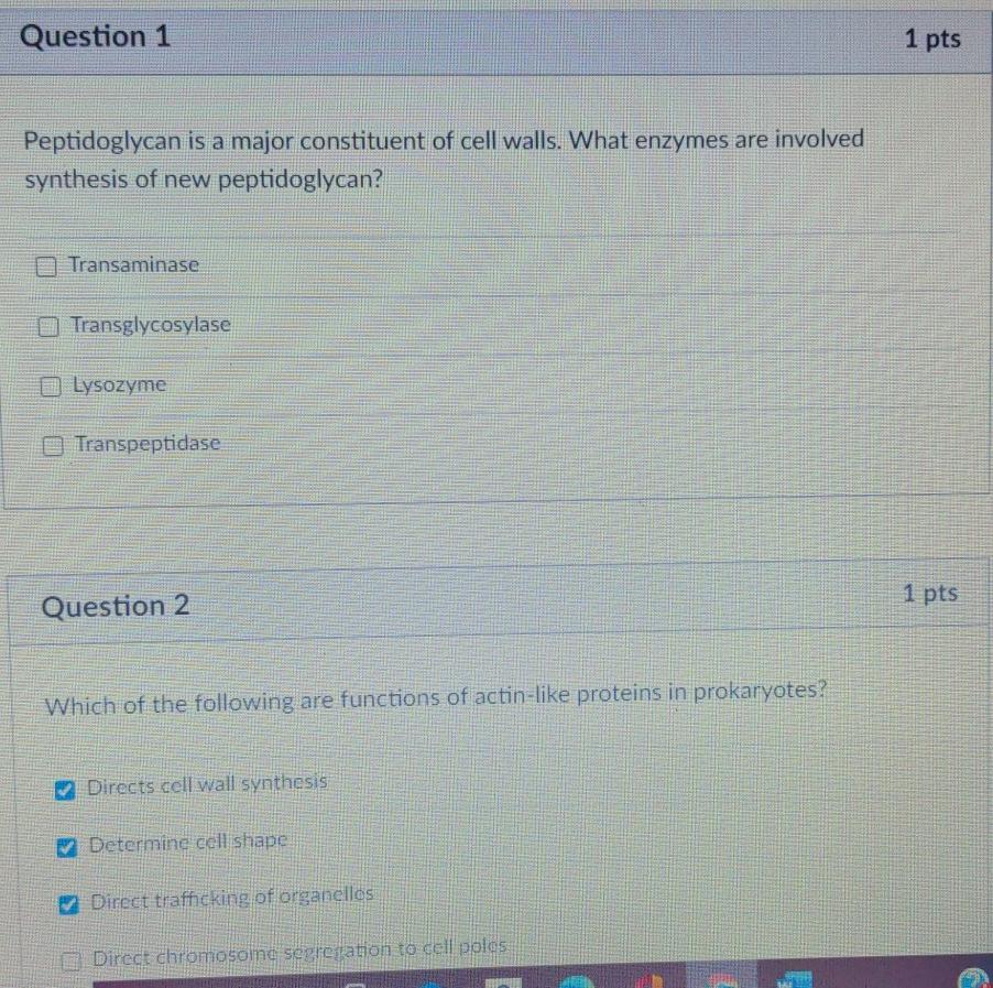 Solved Question 1 1 Pts Peptidoglycan Is A Major Constituent