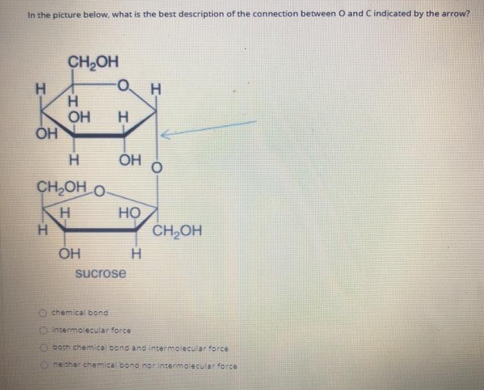 Solved In The Picture Below What Is The Best Description Of 5146