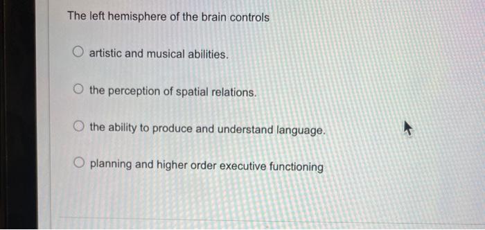Solved The left hemisphere of the brain controls artistic | Chegg.com
