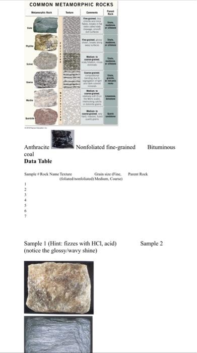 Solved Sample 1 (Hint: fizzes with HCl, acid) (notice the | Chegg.com
