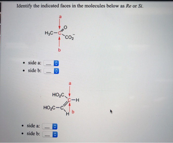 Solved Identify The Indicated Hydrogens In The Molecules Chegg Com