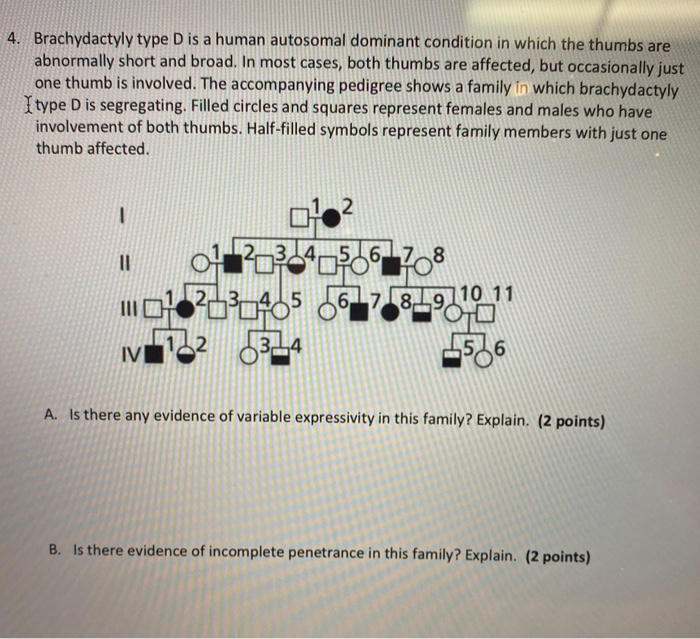 Solved 4. Brachydactyly type D is a human autosomal dominant | Chegg.com