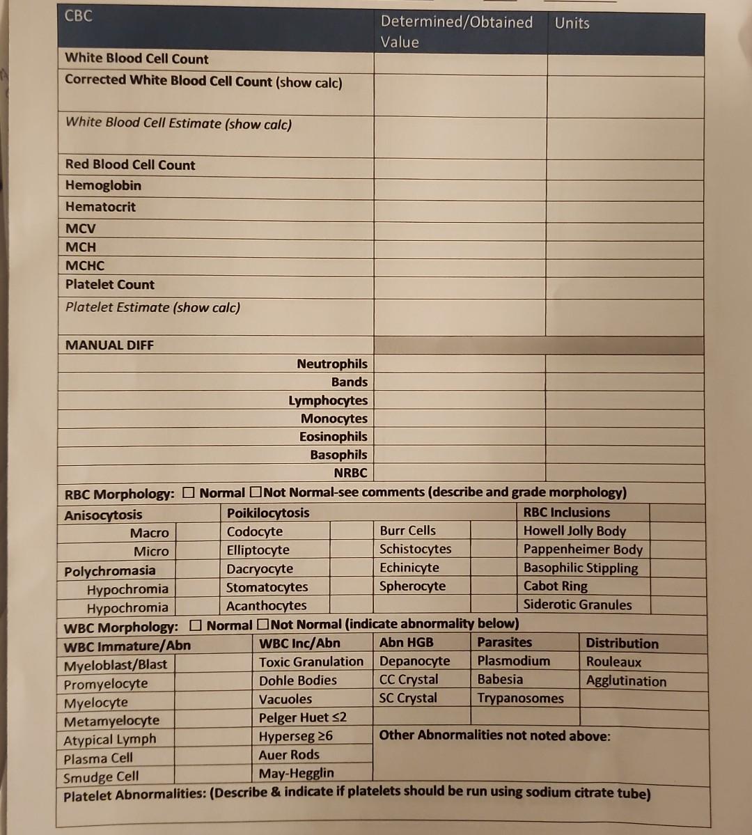 complete-blood-count-cbc-red-blood-cells-rbc-nursing-osmosis-hot-sex