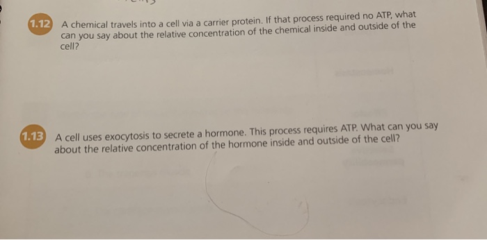 Solved A Chemical Travels Into A Cell Via A Carrier Protein Chegg Com
