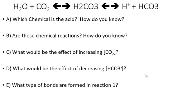 Solved H2O + CO2 + H2CO3 + H+ + HCO3- • A) Which Chemical is | Chegg.com