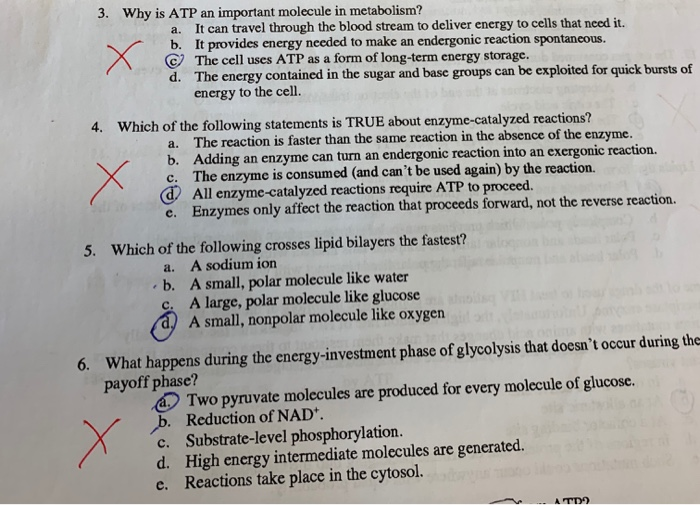 Solved 3 why is atp an important molecule in metabolism a chegg