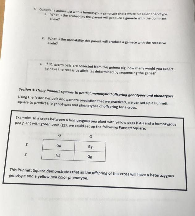 Solved Mendelian Genetics Problems Section 1: Genotype and | Chegg.com