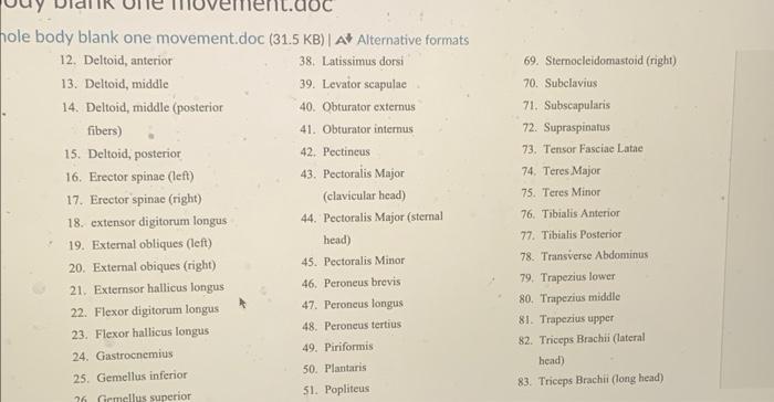 le body blank one movement.doc (31.5 KB) | Al Alternative formats
12. Deltoid, anterior
38. Latissimus dorsi
69. Sternocleido