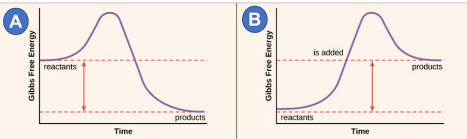 Solved Which curve better represents a reaction with delta | Chegg.com