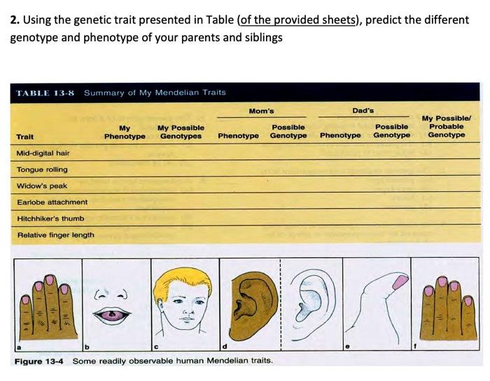 Solved 2. Using the genetic trait presented in Table (of the | Chegg.com
