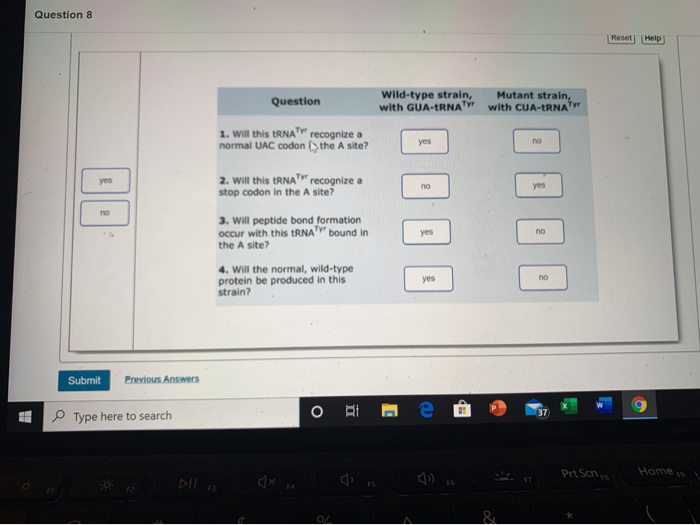 Solved translation is divided into three phases: initiation, | Chegg.com