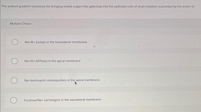 Solved The sodium gradient necessary for bringing simple | Chegg.com