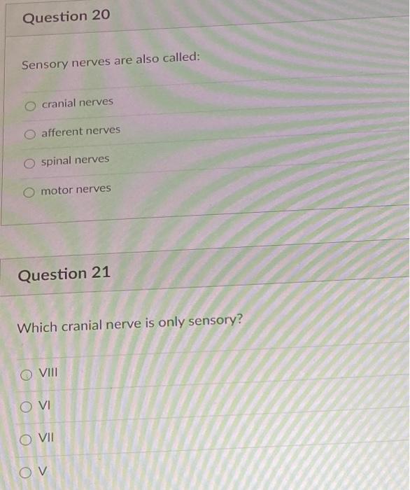 Solved Question 22 Regeneration of a damaged PNS neuron is | Chegg.com