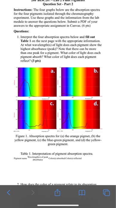 Question Set - Part 2 Instructions: The four graphs | Chegg.com