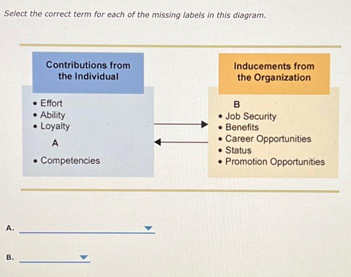 Solved Select The Correct Term For Each Of The Missing | Chegg.com