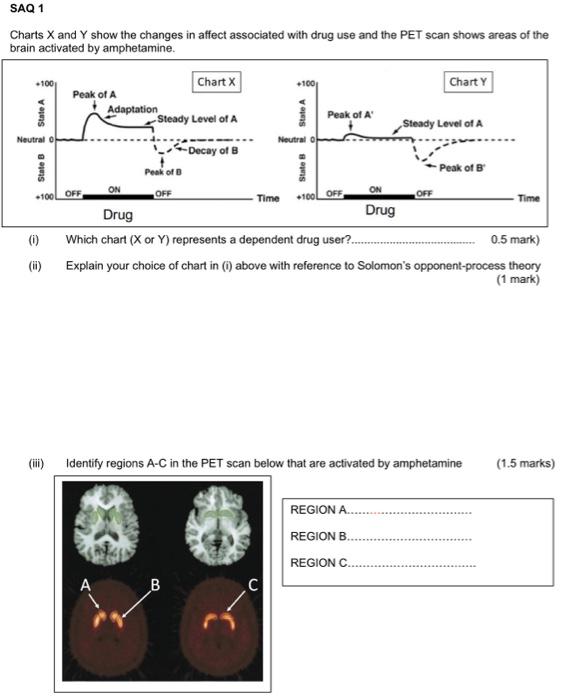 Charts \( X \) and \( Y \) show the changes in affect associated with drug use and the PET scan shows areas of the brain acti