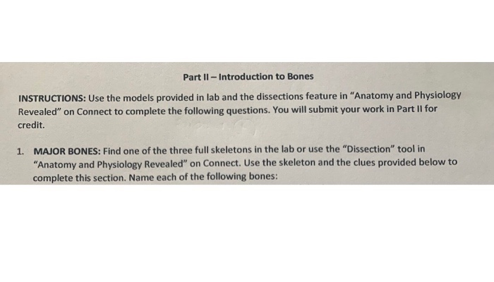 Solved Part II - Introduction to Bones INSTRUCTIONS: Use the | Chegg.com