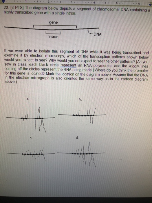 Solved 4.15.1 6. 20. [8 PTS] The diagram below depicts a | Chegg.com