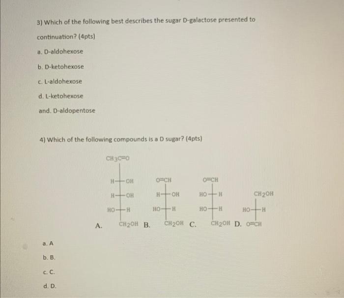 Solved 3) Which of the following best describes the sugar | Chegg.com