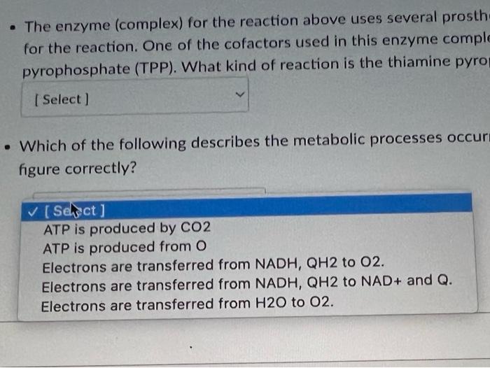 . The enzyme (complex) for the reaction above uses several prosth.
for the reaction. One of the cofactors used in this enzyme