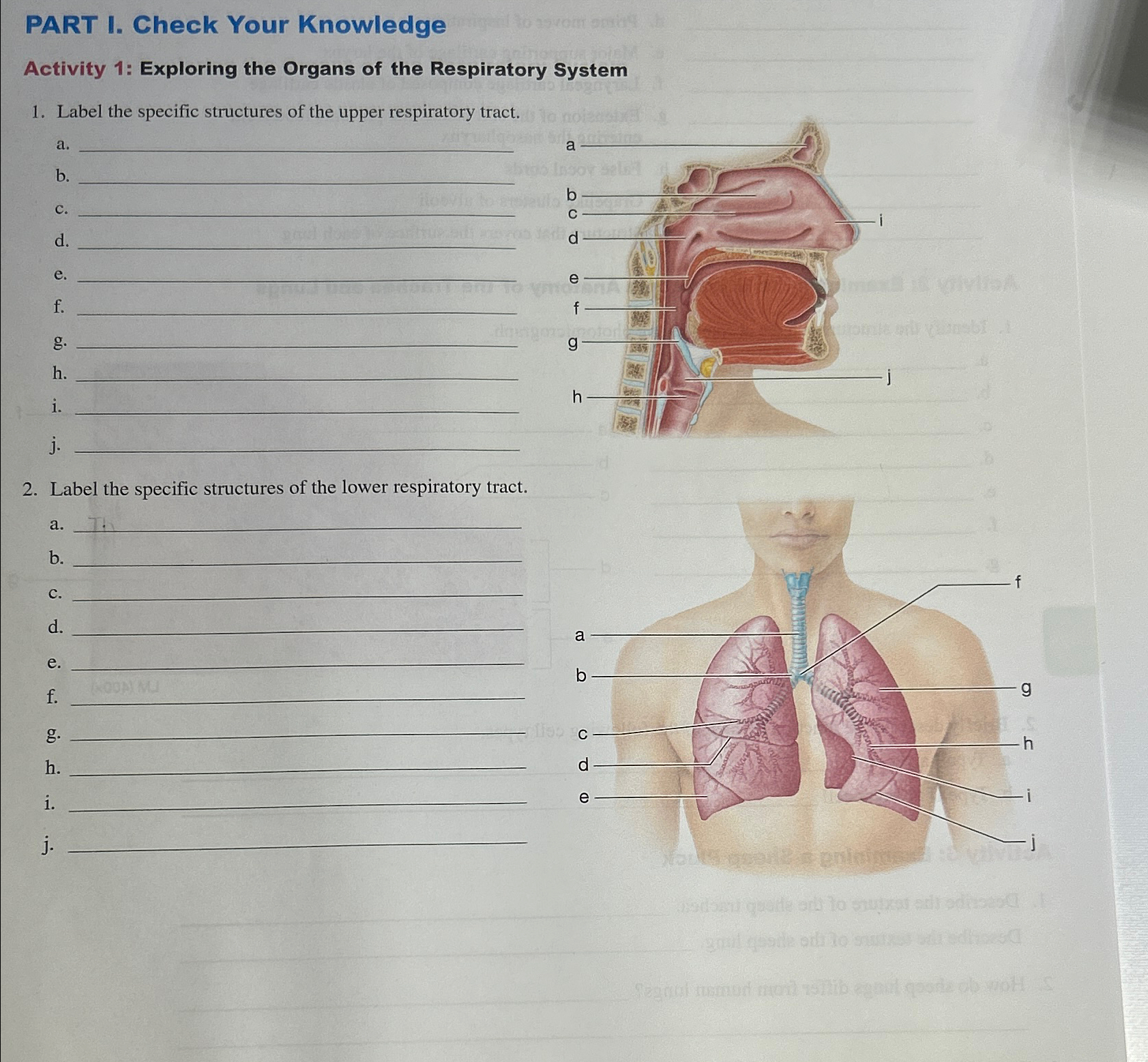 Solved PART I. Check Your KnowledgeActivity 1: Exploring the | Chegg.com