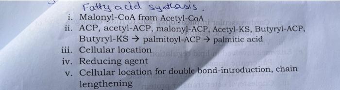 Fatty acid synthasis.
i. Malonyl-CoA from Acetyl-CoA
ii. ACP, acetyl-ACP, malonyl-ACP, Acetyl-KS, Butyryl-ACP, Butyryl-KS \(