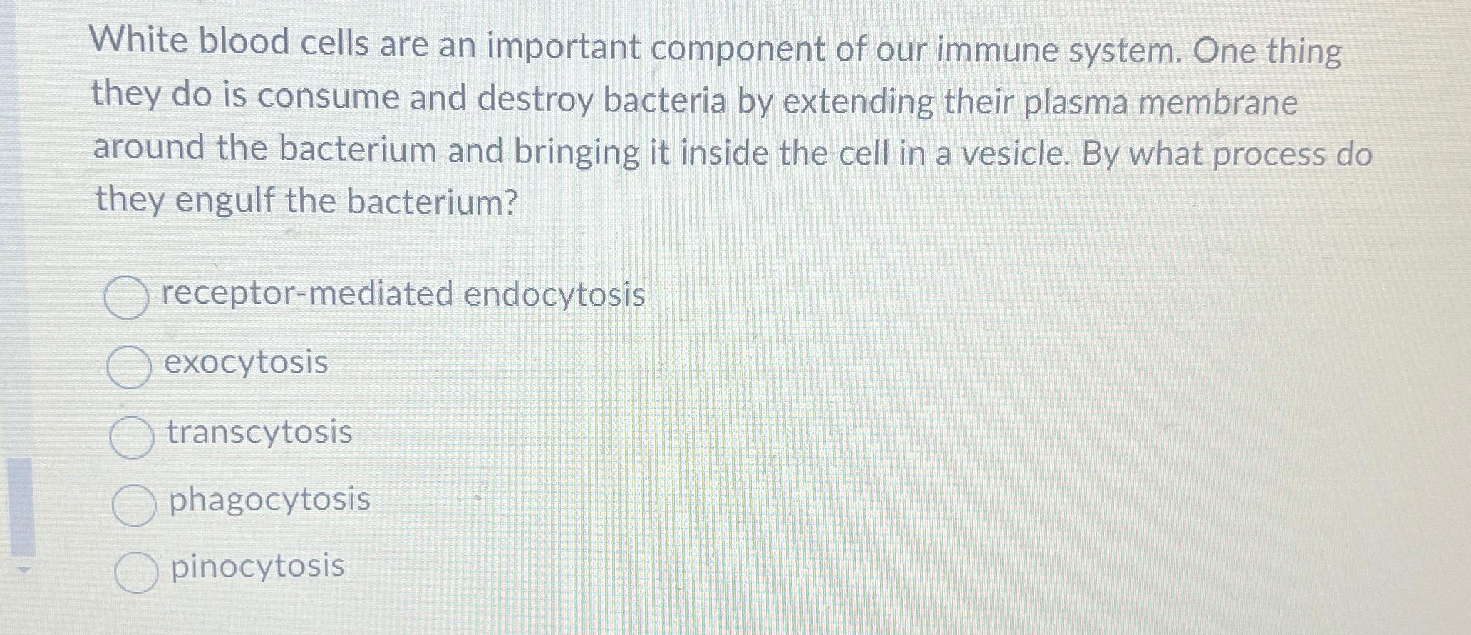 Solved White blood cells are an important component of our | Chegg.com