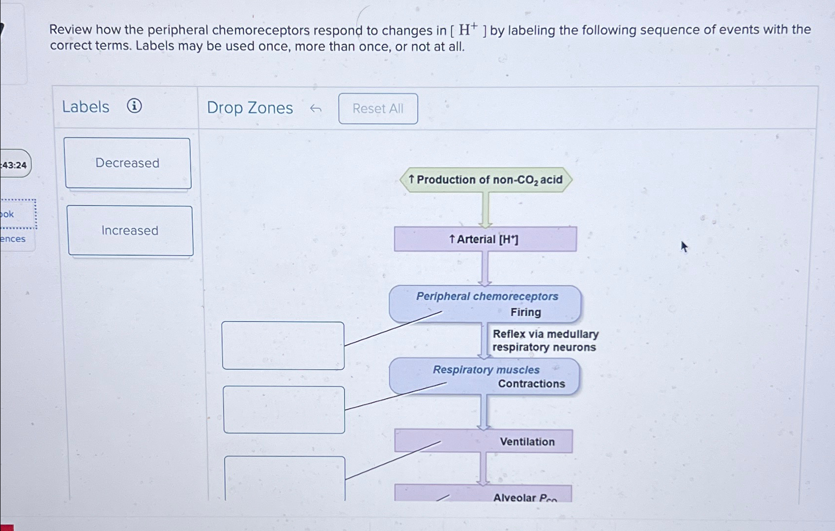 Solved Review how the peripheral chemoreceptors respond to | Chegg.com