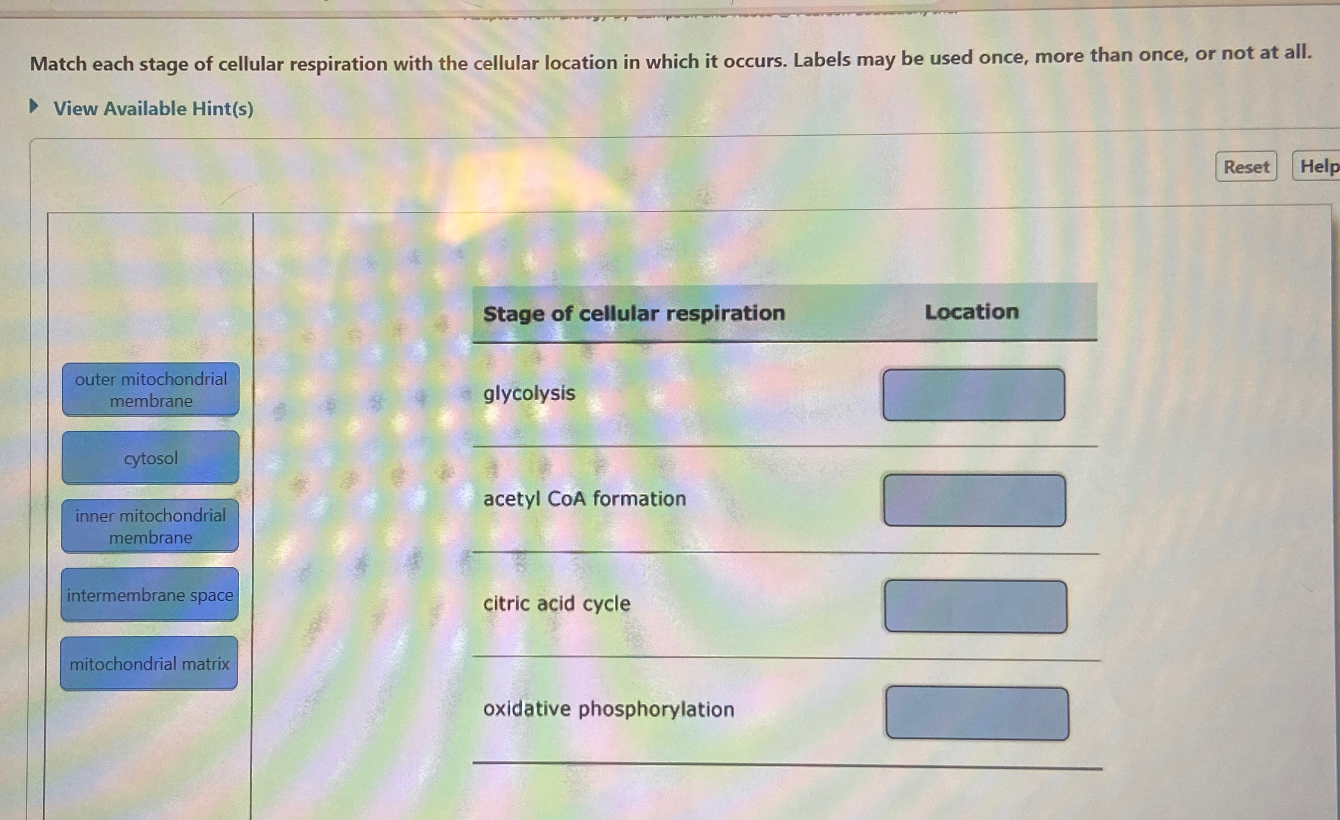 Solved Match each stage of cellular respiration with the | Chegg.com