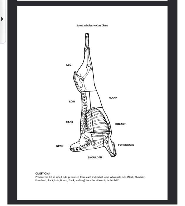 Solved Lamb Wholesale Cuts Chart LEG FLANK LOIN RACK | Chegg.com