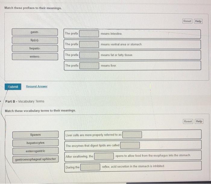 solved-match-these-prefixes-to-their-meanings-reset-help-chegg