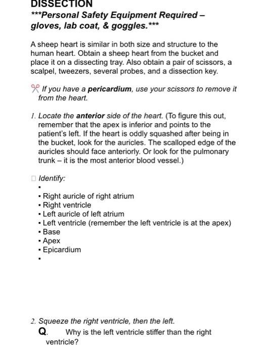 Solved DISSECTION ***Personal Safety Equipment Required