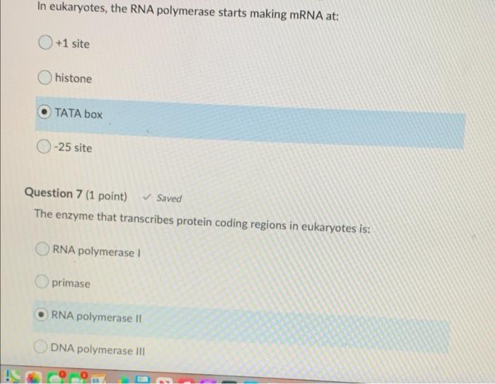 Solved In Eukaryotes, The RNA Polymerase Starts Making MRNA | Chegg.com