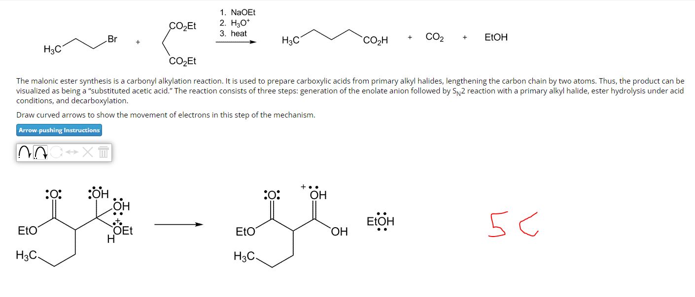 Solved The malonic ester synthesis is a carbonyl alkylation | Chegg.com