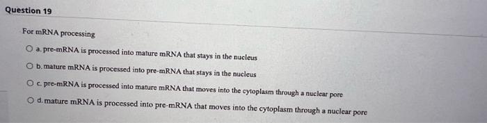 Pre Mrna Processing The Shocking Step That Starts Translation - 5bzv109