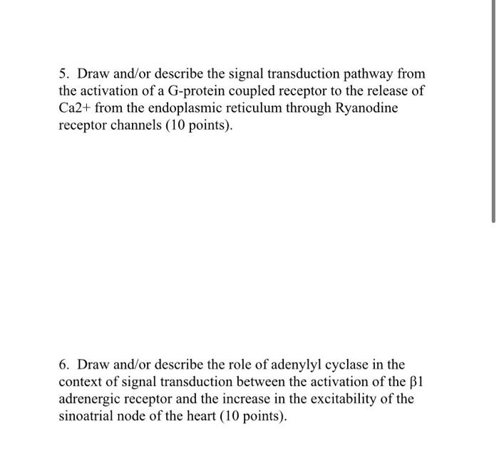 Solved 5. Draw and/or describe the signal transduction | Chegg.com