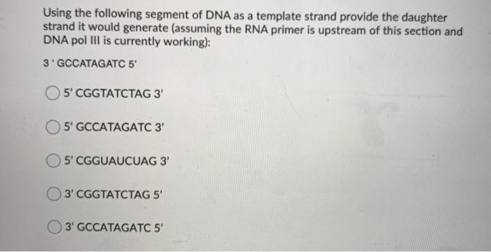 Solved Using the following segment of DNA as a template | Chegg.com