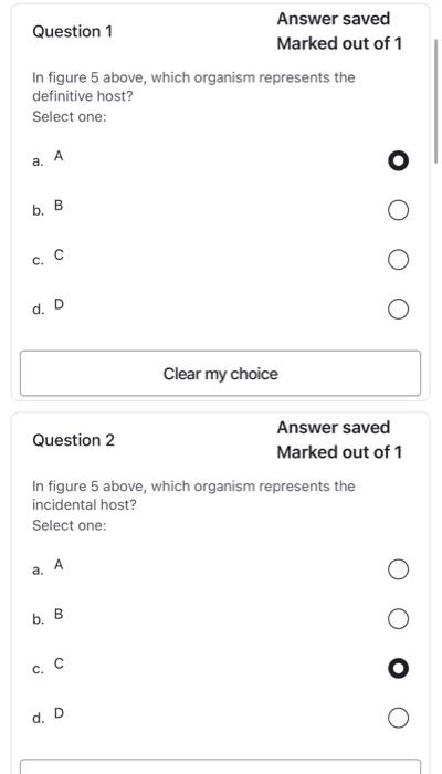 In figure 5 above, which organism represents the definitive host?
Select one:
a. \( A \)
b. B
c. \( \mathrm{C} \)
d. D
Answer