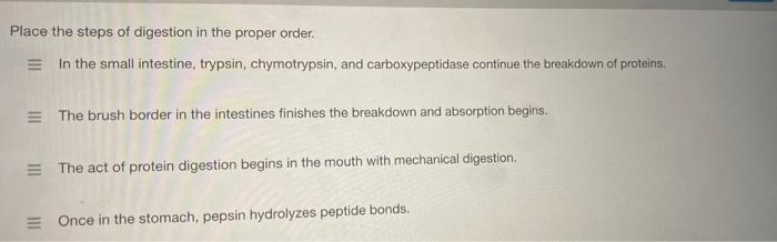Solved Place the steps of digestion in the proper order. = | Chegg.com