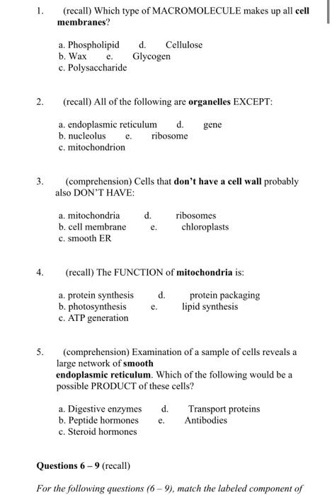 Solved 1. (recall) Which type of MACROMOLECULE makes up all | Chegg.com