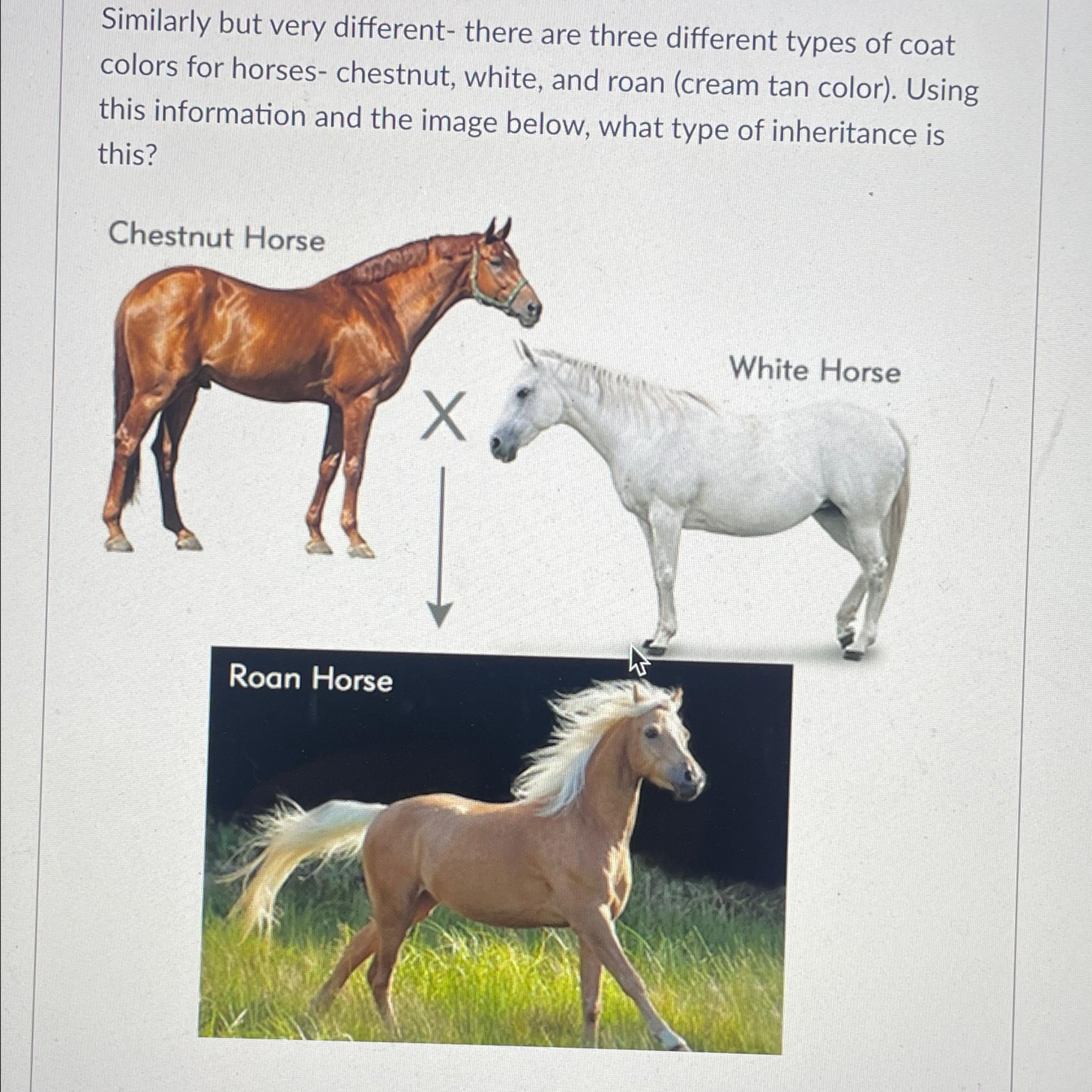 Solved Similarly but very different ﻿there are three