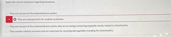 Solved Select the correct statement regarding a cell nucleus | Chegg.com