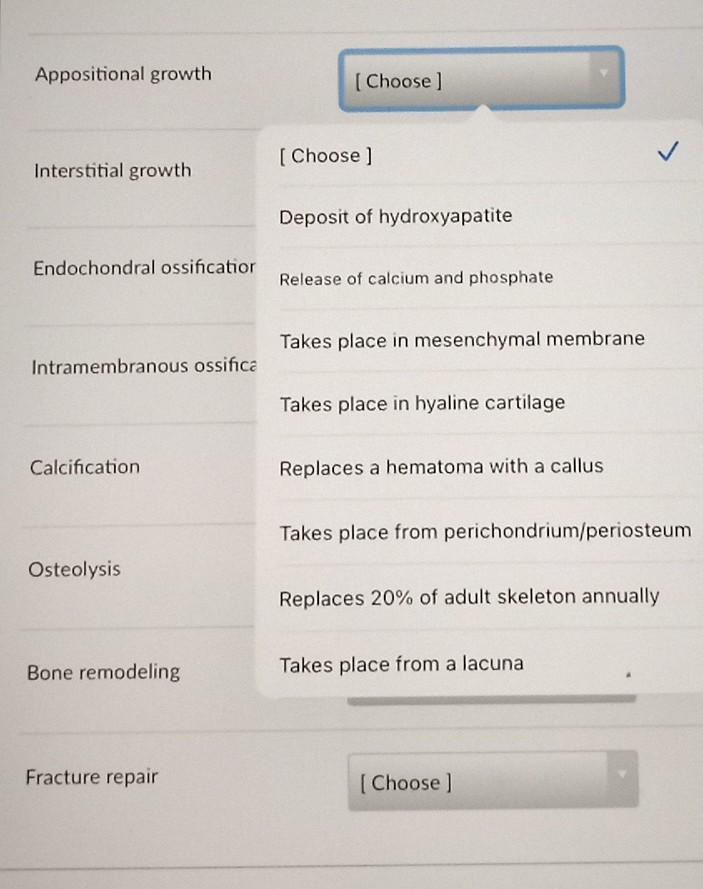 Solved Appositional Growth [Choose] [Choose ] Interstitial | Chegg.com