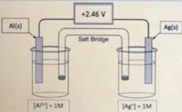 Solved The galvanic cell shown above generates a cell | Chegg.com