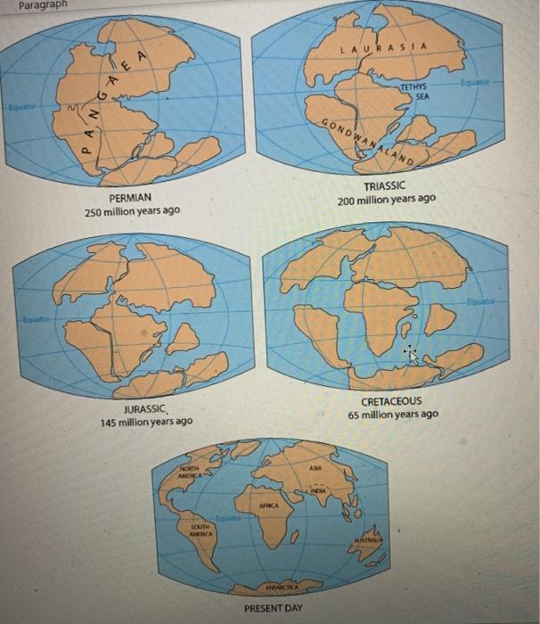 Solved Eutheria vs. Metatheria A common saying among | Chegg.com