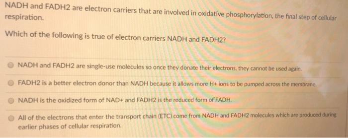 solved-nadh-and-fadh2-are-electron-carriers-that-are-chegg