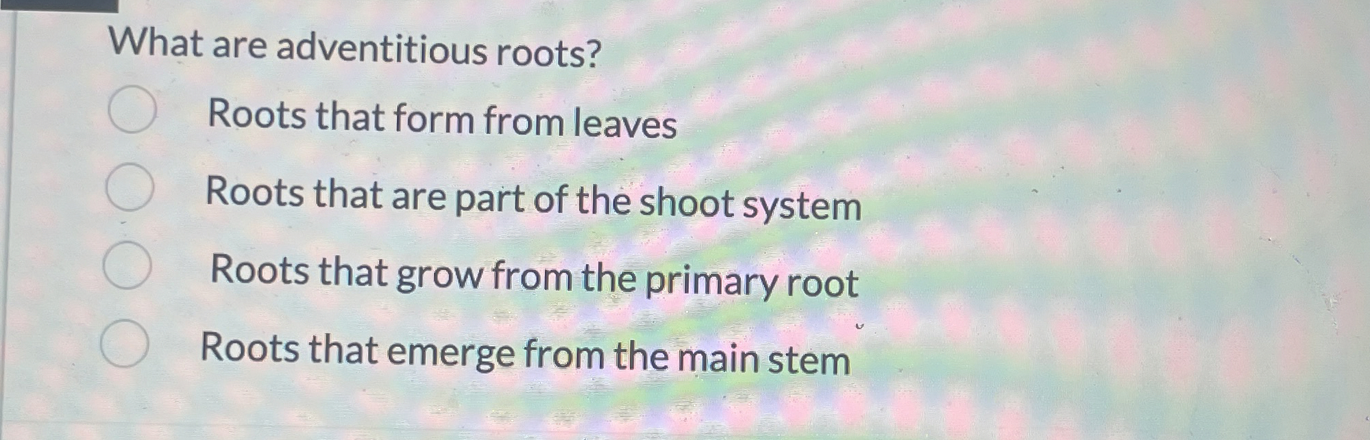 What are adventitious roots?Roots that form from | Chegg.com