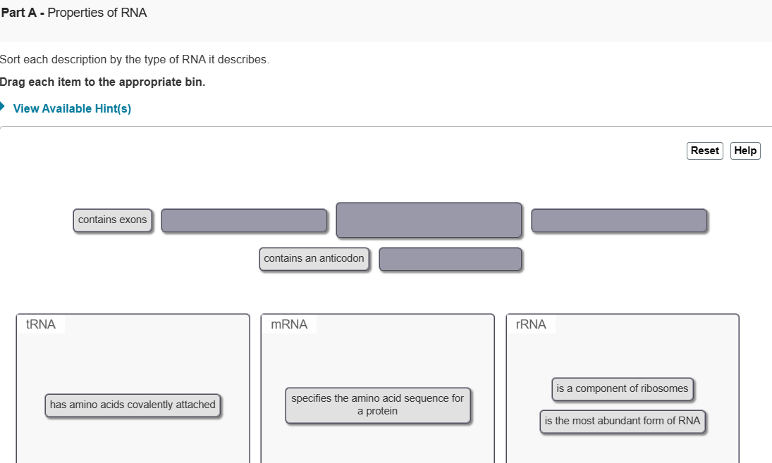Solved Part A - ﻿Properties of RNASort each description by | Chegg.com